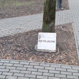 Európa liget Budapest - Egyéb