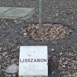 Európa liget Budapest - Egyéb