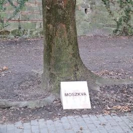 Európa liget Budapest - Egyéb