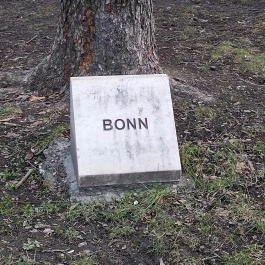 Európa liget Budapest - Egyéb