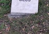 Európa liget Budapest