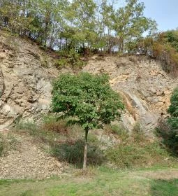 Az ezeréves Hetény vezér