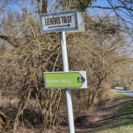 Ezeréves tölgy, Zsennye - Külső kép