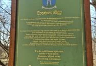 Ezeréves tölgy Zsennye