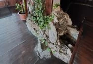 Ezüstfenyő Étterem & Pizzéria Lajosmizse