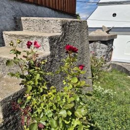 Fa Harangláb Mályinka - Külső kép
