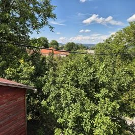 Fa Harangláb Mályinka - Külső kép