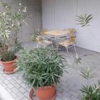 Fagyöngy Sportház Ábrahámhegy - 