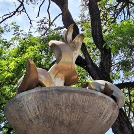 Fáklya Sülysáp - Egyéb