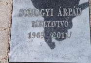 Fáklyavivő Nagykőrös