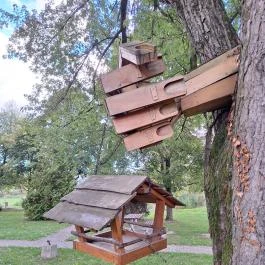 Fanyűvő óriás Bikal - Egyéb