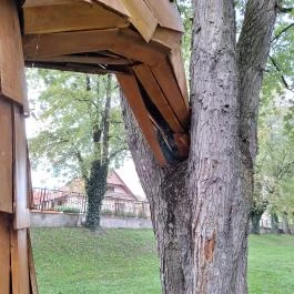 Fanyűvő óriás Bikal - Egyéb