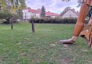 Fanyűvő óriás Bikal