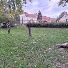 Fanyűvő óriás Bikal - Egyéb