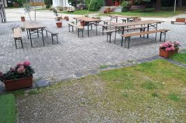 Fapuma Németbánya