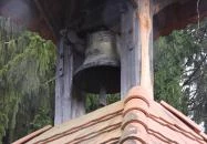 Favázas harangláb Nemesmedves