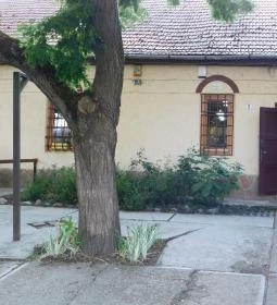 Fehér Akác Presszó