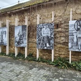 Fekedi Stifolder/ Trabert Hof Feked - Egyéb