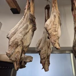 Fekedi Stifolder/ Trabert Hof Feked - Étel/ital