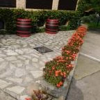 Fekete Gólya Vendéglő Kecskemét - Külső kép