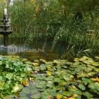 Fekete Gólya Vendéglő Kecskemét - Külső kép