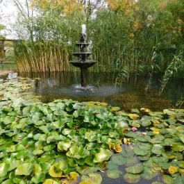 Fekete Gólya Vendéglő Kecskemét - Külső kép