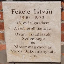 Fekete István Mosonmagyaróvár - Egyéb
