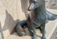 Fekete István Mosonmagyaróvár