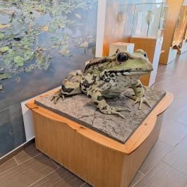 Fekete István Látogatóközpont Kaposvár - Egyéb