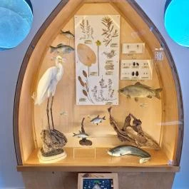 Fekete István Látogatóközpont Kaposvár - Egyéb