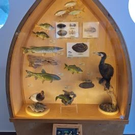 Fekete István Látogatóközpont Kaposvár - Egyéb