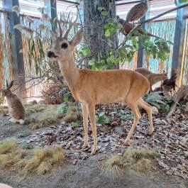 Fekete István Látogatóközpont Kaposvár - Egyéb