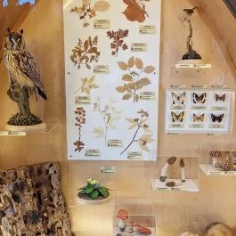 Fekete István Látogatóközpont Kaposvár - Egyéb