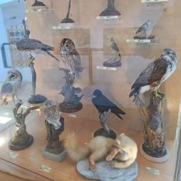 Fekete István Látogatóközpont Kaposvár - Egyéb