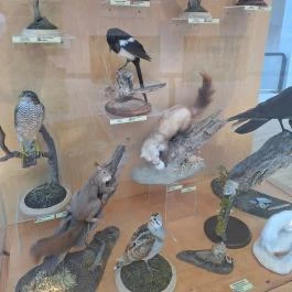 Fekete István Látogatóközpont Kaposvár - Egyéb