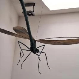 Fekete István Látogatóközpont Kaposvár - Egyéb