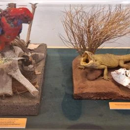 Fekete István Látogatóközpont Kaposvár - Egyéb