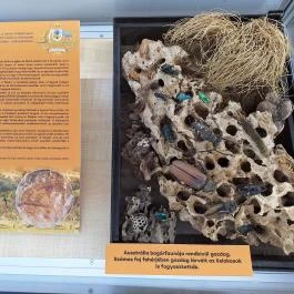 Fekete István Látogatóközpont Kaposvár - Egyéb