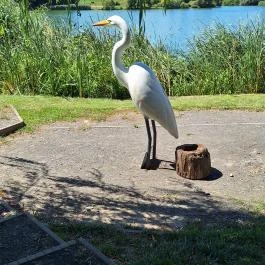 Fekete István Látogatóközpont Kaposvár - Egyéb