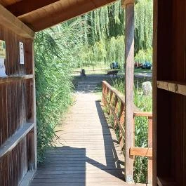 Fekete István Látogatóközpont Kaposvár - Külső kép