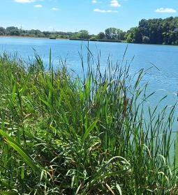 Fekete István Látogatóközpont