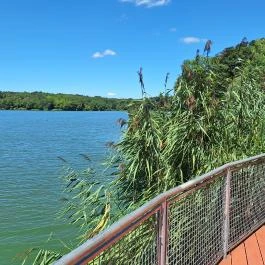 Fekete István Látogatóközpont Kaposvár - Külső kép