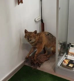 Fekete István Múzeum