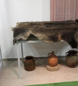 Fekete István Múzeum