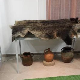 Fekete István Múzeum, Dombóvár - Egyéb