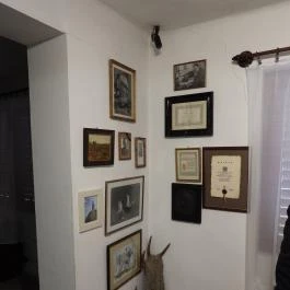 Fekete István Múzeum, Dombóvár - Egyéb