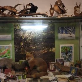 Fekete István Múzeum, Dombóvár - Egyéb