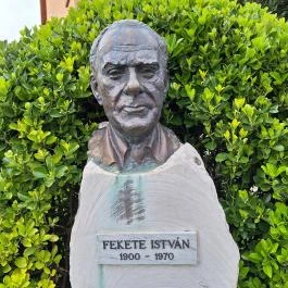 Fekete István Múzeum, Dombóvár - Egyéb