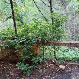 Fekete-kastély Balatonederics - Belső