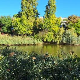 Feneketlen-tó Budapest - Külső kép